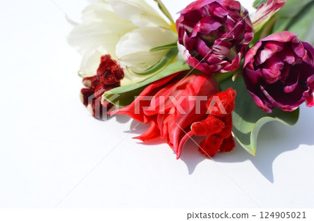 A bouquet of three kinds of tulips and a teddy bear 124905021