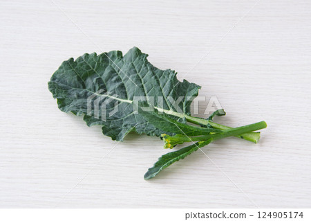 阿萊塔 阿萊塔 124905174