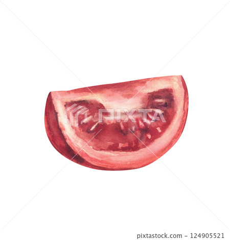Quartered red tomato. Sliced of vegetable farm harvest. Hand drawn watercolor illustration of fresh vegan food, perfect for salads, harvest themes, ketchup label. Cut piece of fresh raw veg. Isolated 124905521