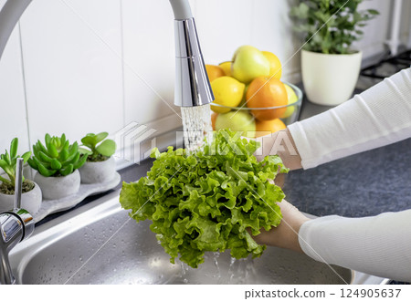Woman hands washing a fresh lettuce to prepare a fresh salad 124905637
