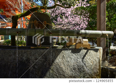 上賀茂神社（加茂和計一土神社） Chozuya 124905855