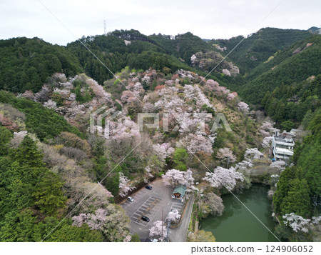 Aerial view of Lake Kamokita 124906052
