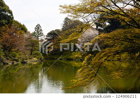 京都淺戶御所北池池塘 124906211