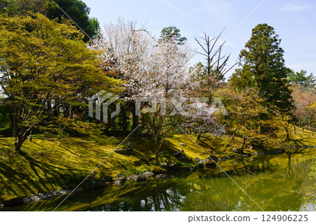 Kyoto Sento Gosho Kitaike Pond 124906225