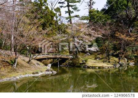 Kyoto Sento Imperial Palace South Pond and Cherry Blossoms Kyoto Sento Imperial Palace South Pond and Cherry Blossoms 124906578