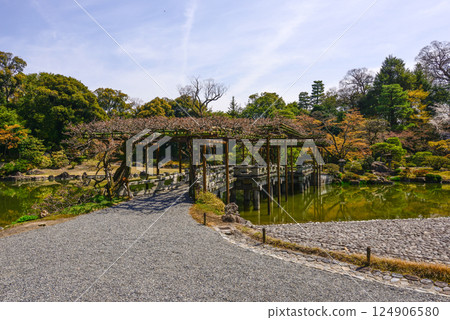 京都仙洞禦所南池與櫻花 124906580