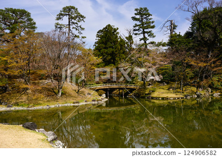 Kyoto Sento Imperial Palace South Pond and Cherry Blossoms 124906582