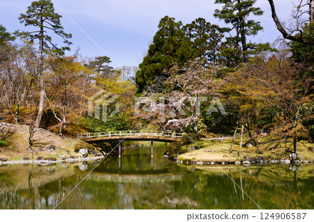 京都仙洞禦所南池與櫻花 京都仙洞禦所南池與櫻花 124906587