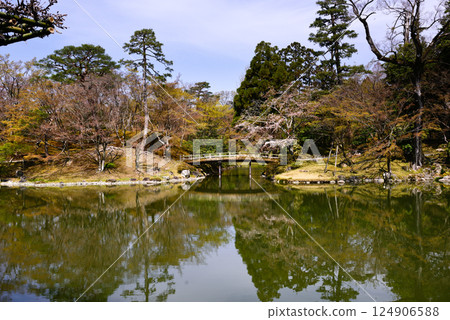 京都仙洞禦所南池與櫻花 124906588