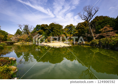 京都仙洞禦所南池與櫻花 124906592
