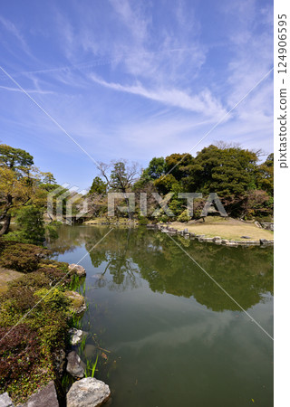 京都仙洞禦所南池與櫻花 124906595