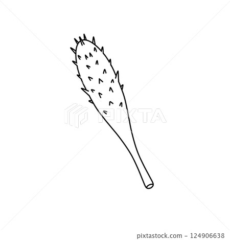A white and black drawing of a stick with a bunch of spikes on it A white and black drawing of a stick with a bunch of spikes on it 124906638