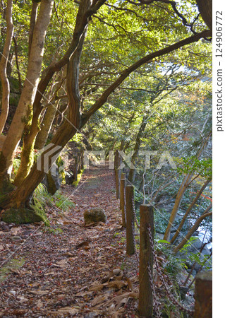 京都府福知山市新童子軍的秋景 京都府福知山市新童子軍的秋景 124906772
