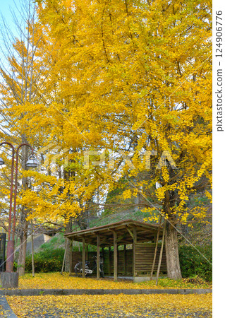 Autumn scenery of Shin-Douji Bridge in Fukuchiyama City, Kyoto Prefecture 124906776