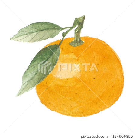 Orange painted in watercolors 124906899
