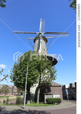 Windmills in Schiedam, Netherlands 124906985