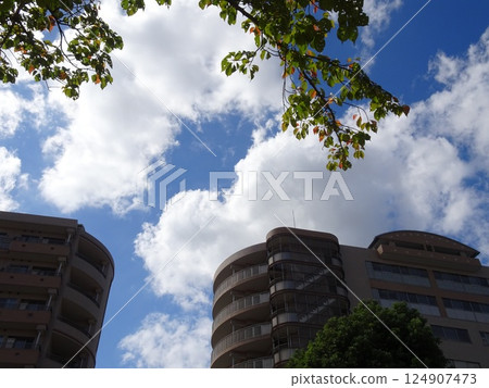 九月雲-55 124907473