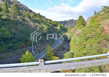 Autumn scenery of Shin-Douji Bridge in Fukuchiyama City, Kyoto Prefecture 124907482