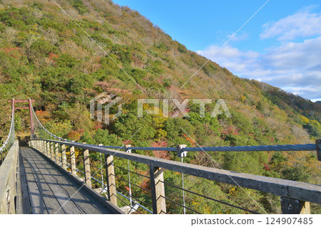 Autumn scenery of Shin-Douji Bridge in Fukuchiyama City, Kyoto Prefecture 124907485