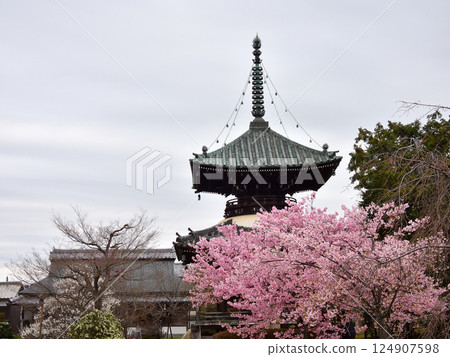 聖靈寺(佐賀縣釋迦堂)川津櫻和寶穗 聖靈寺(佐賀縣釋迦堂)川津櫻和寶穗 124907598