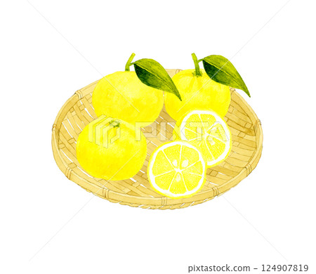 Yuzu on a bamboo basket Hand-drawn watercolor illustration of fruit 124907819
