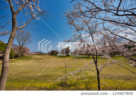 Spring has come and the scenery around Lake Kitagata is covered in cherry blossoms Spring has come and the scenery around Lake Kitagata is covered in cherry blossoms 124907909