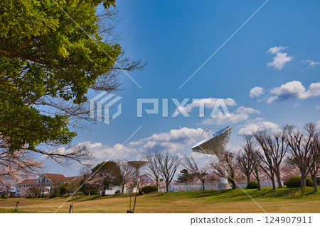 Spring has come and the scenery around Lake Kitagata is covered in cherry blossoms 124907911