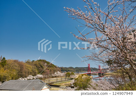 春天來了，北方湖周圍櫻花盛開 124907949