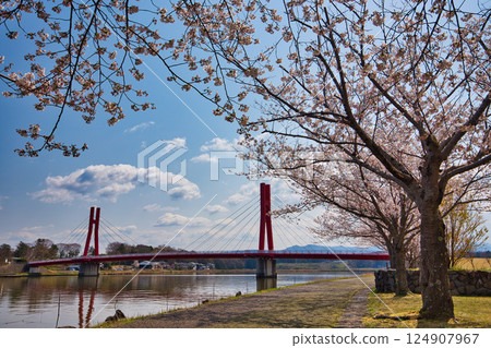 Spring has come and the scenery around Lake Kitagata is covered in cherry blossoms Spring has come and the scenery around Lake Kitagata is covered in cherry blossoms 124907967