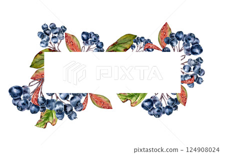 Wild aronia berry horizontal frame with watercolor foliage isolated. Chokeberry botanical border hand drawn for autumn greeting cards, food packaging, and seasonal invitation, nature product label. 124908024