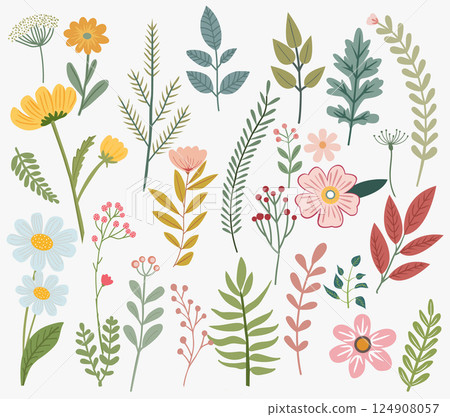 Floral collection of herbs, wildflower, leaf, branch, foliage. 124908057