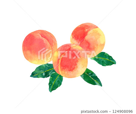 Set of ripe peaches Hand-drawn watercolor illustration of fruit 124908096