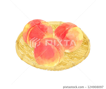 Set of peaches on a bamboo basket Hand-drawn watercolor illustration of fruit 124908097