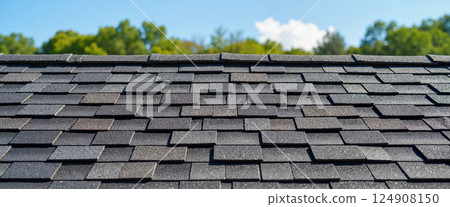 Dark asphalt shingles cover a roof, showing a close-up view with detailed texture. Trees and a clear blue sky are visible in the background, adding a natural contrast Dark asphalt shingles cover a roof, showing a close-up view with detailed texture. Trees and a clear blue sky are visible in the background, adding a natural contrast 124908150