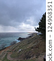 Rocky coastline with grassy cliffs under a cloudy sky, waves crash against the shore. Pine tree on the right providing a natural frame to the scenic ocean view 124908351