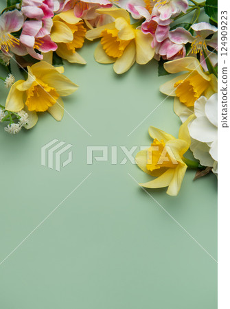 Daffodils and spring flowers creating a floral border on pastel green background Daffodils and spring flowers creating a floral border on pastel green background 124909223