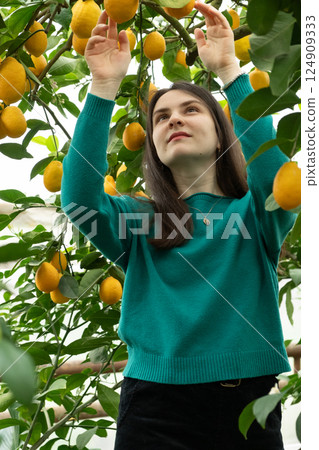 Woman in a lemonarium, lemon garden, greenhouse. Growing lemons. 124909333