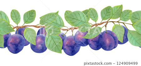 Branch of purple plum with leaves and whole fruits. Seamless border. Watercolor, marker illustration. Horizontal banner for farm labels menu design, recipes. Fruit harvest. Hand drawn isolated sketch. Branch of purple plum with leaves and whole fruits. Seamless border. Watercolor, marker illustration. Horizontal banner for farm labels menu design, recipes. Fruit harvest. Hand drawn isolated sketch. 124909499