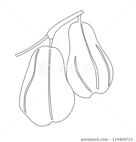 chayote fruit icon vector 124909723