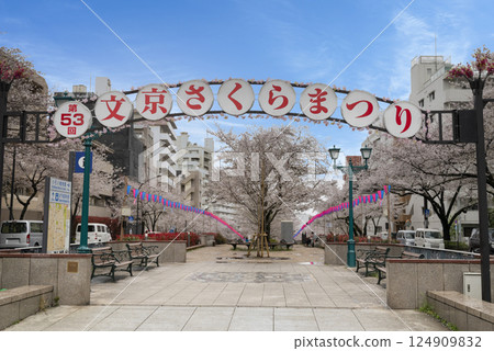 文京櫻花節 124909832