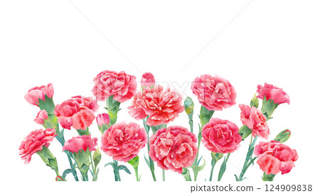Watercolor illustration of red carnation. Mother's day decoration. Watercolor illustration of red carnation. Mother's day decoration. 124909838