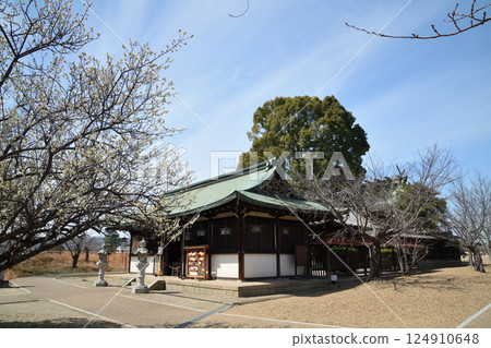 Yanagisawa Shrine [Yamatokoriyama City, Nara Prefecture] 124910648