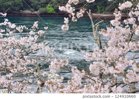 Cherry blossoms, the Nishikai Bridge, and the whirlpools of Inoura Strait 124910660