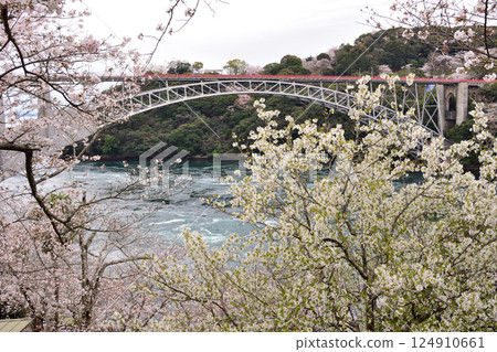 Cherry blossoms, the Nishikai Bridge, and the whirlpools of Inoura Strait 124910661