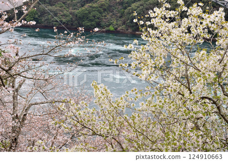 Cherry blossoms, the Nishikai Bridge, and the whirlpools of Inoura Strait 124910663