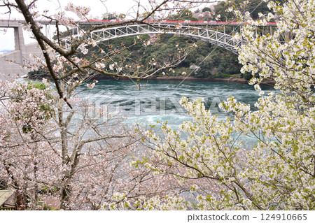 Cherry blossoms, the Nishikai Bridge, and the whirlpools of Inoura Strait 124910665