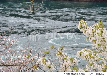 Cherry blossoms, the Nishikai Bridge, and the whirlpools of Inoura Strait Cherry blossoms, the Nishikai Bridge, and the whirlpools of Inoura Strait 124910667