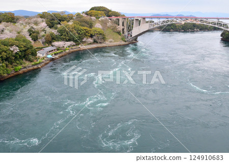 Cherry blossoms, the Nishikai Bridge, and the whirlpools of Inoura Strait 124910683