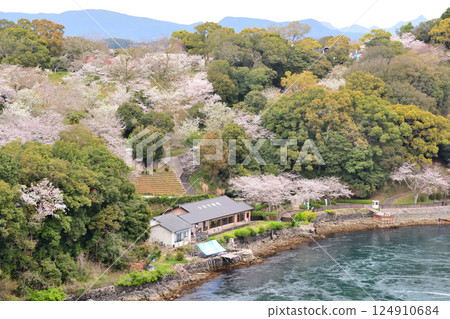 Cherry blossoms, the Nishikai Bridge, and the whirlpools of Inoura Strait Cherry blossoms, the Nishikai Bridge, and the whirlpools of Inoura Strait 124910684