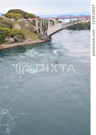 Cherry blossoms, the Nishikai Bridge, and the whirlpools of Inoura Strait 124910687